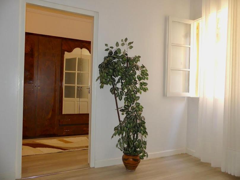 A Cozy Home Right In The Heart Of Tanger Eksteriør billede